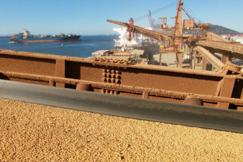 Fim da Lei Kandir colocaria o agronegócio em colapso