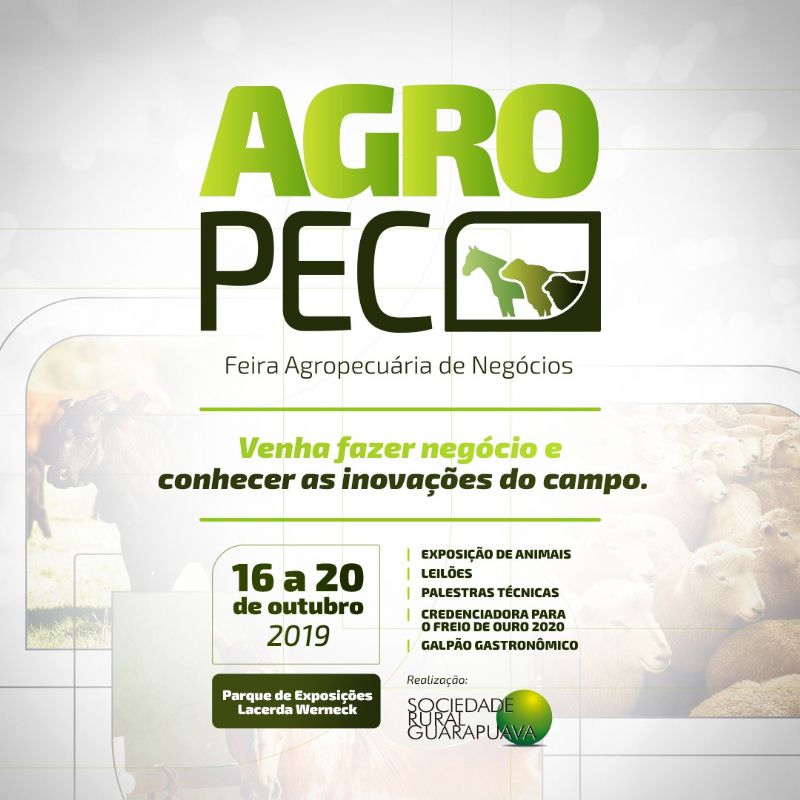 Agropec: ovinocultura é o destaque no dia 18