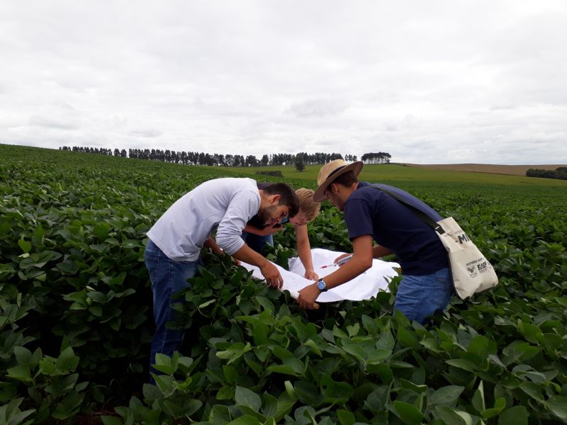 Guarapuava forma novos Inspetores de Campo em MIP – Soja 