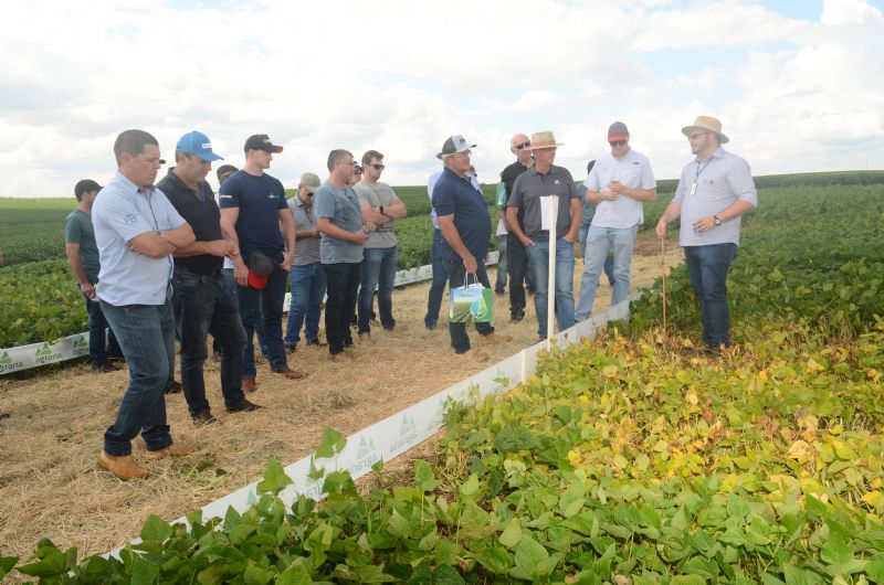  Dia de Campo de Verão da Agrária divulga pesquisas e tecnologias de soja, milho e feijão