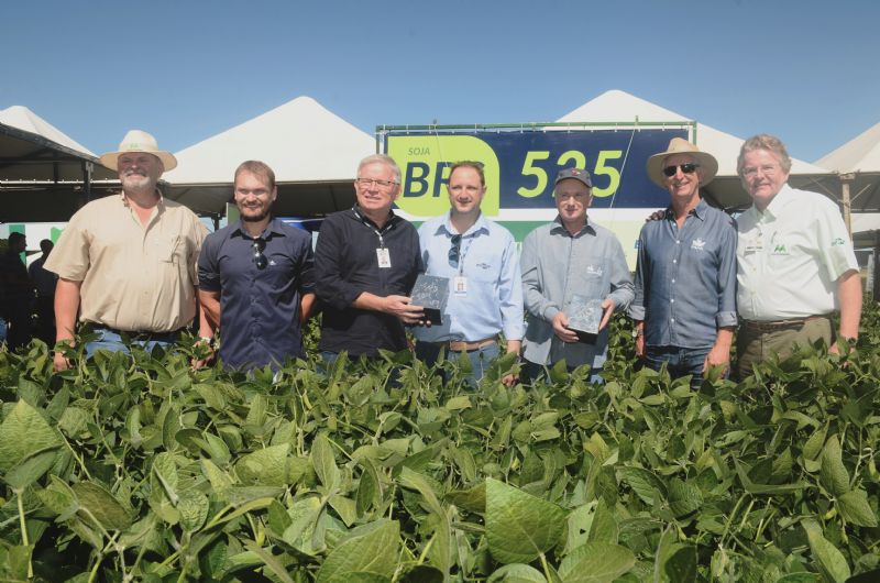 BRS 525: soja convencional para as regiões de altitude