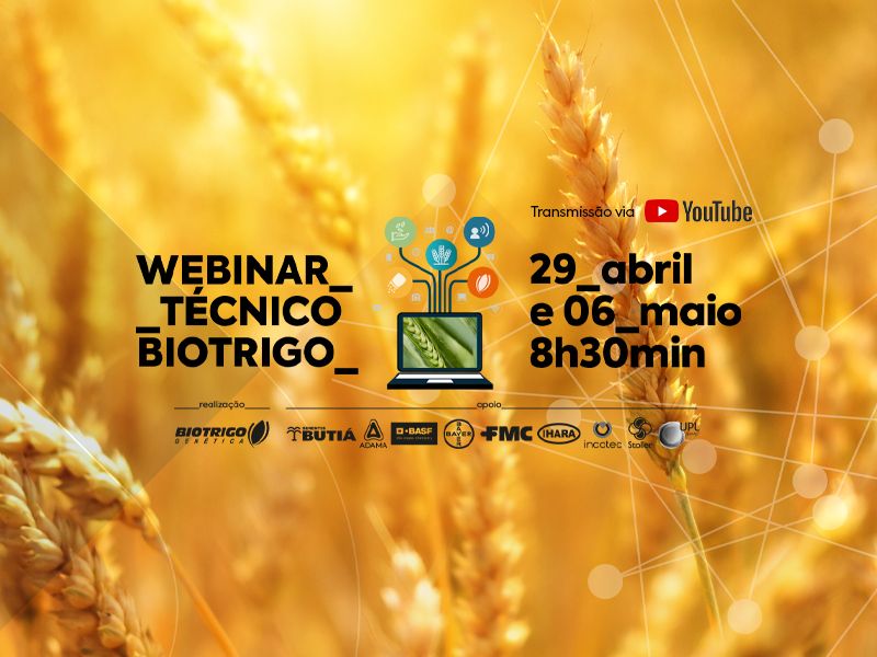  Planejamento da safra de trigo 2020 é tema de webinar gratuito