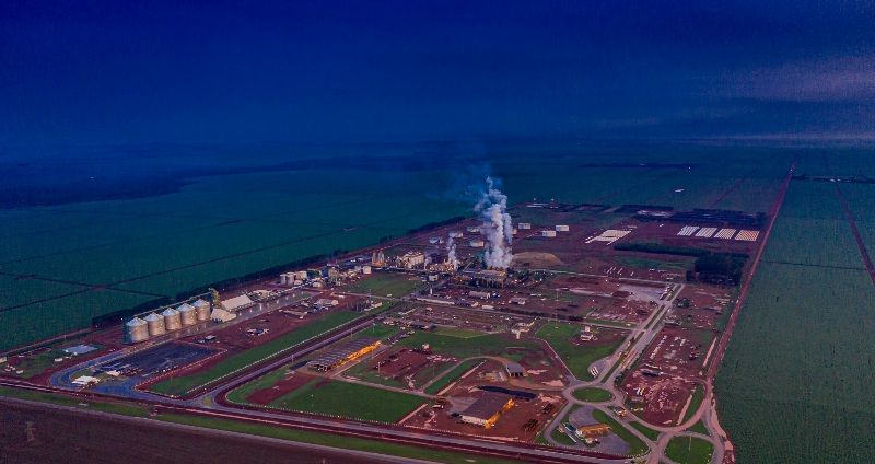 CerradinhoBio cria divisão de negócios para produtos derivados do milho