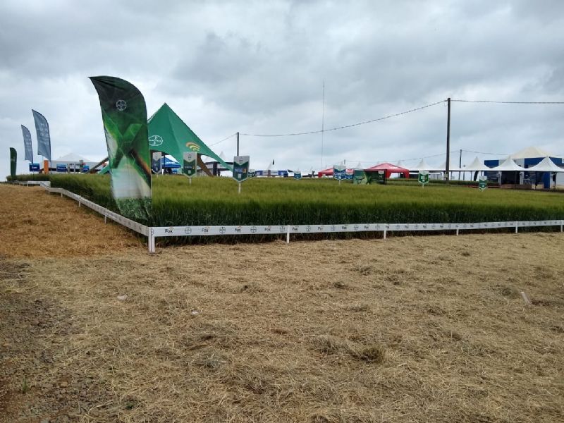 WinterShow 2020 finalizou com balanço positivo dos organizadores