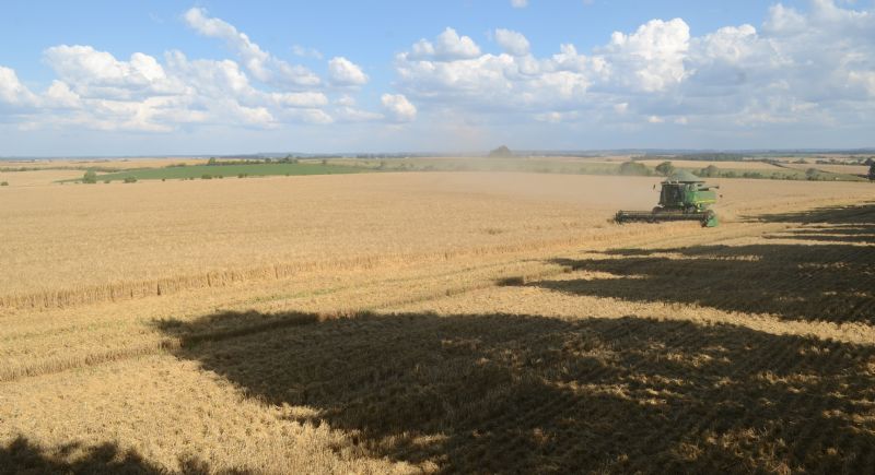 AGRO SUSTENTÁVEL - Na natureza, a base de novas tecnologias