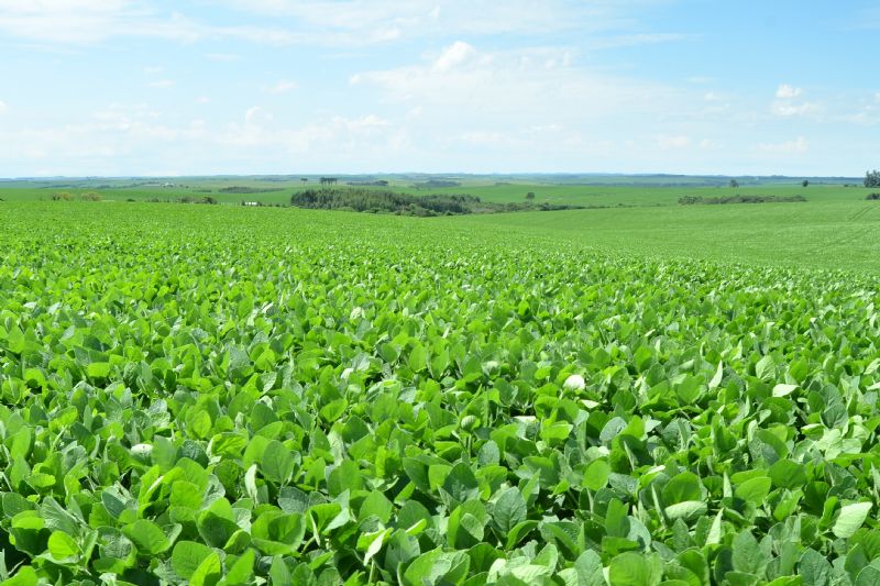 PR entre os destaques das exportações do agro nacional 