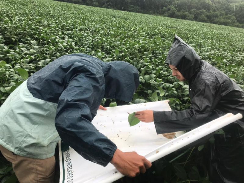 Agro10: investimento que gera resultados