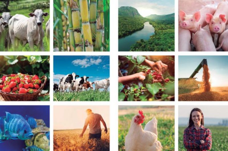 Comissões Técnicas representam FAEP no campo