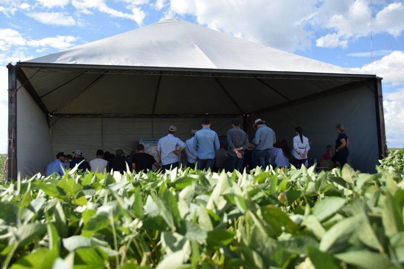 Agrária e FAPA preparam Dia de Campo de Verão 2022
