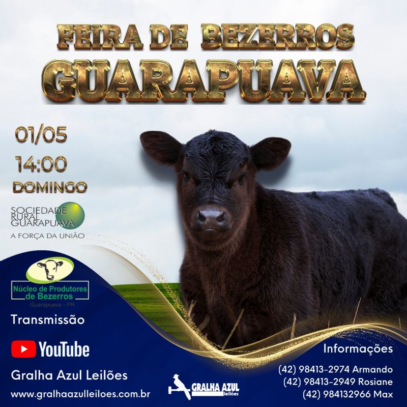 Feira de Bezerros de Guarapuava será realizada neste domingo (1º)