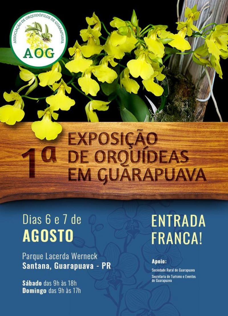 Associação de Orquidófilos de Guarapuava realiza exposição de orquídeas
