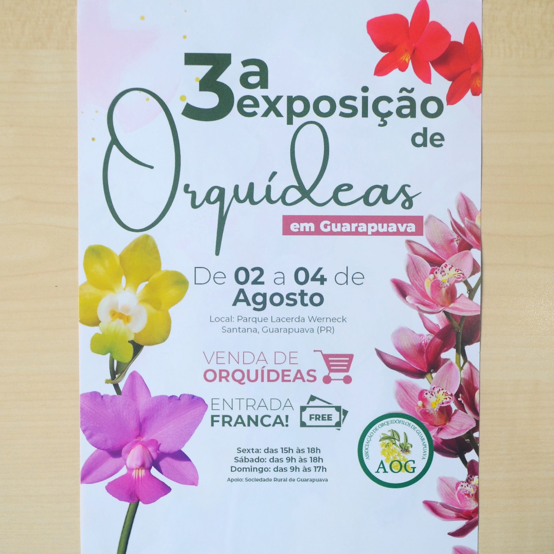 Exposição vai trazer a beleza das orquídeas neste final de semana 