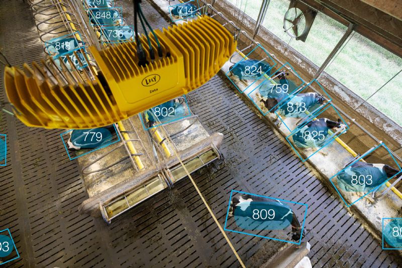 Fazenda do futuro: Lely lança três inovações em robôs para pecuária de leite