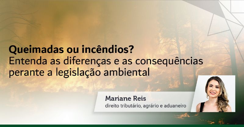 Queimadas ou incêndios? Entenda a diferença.