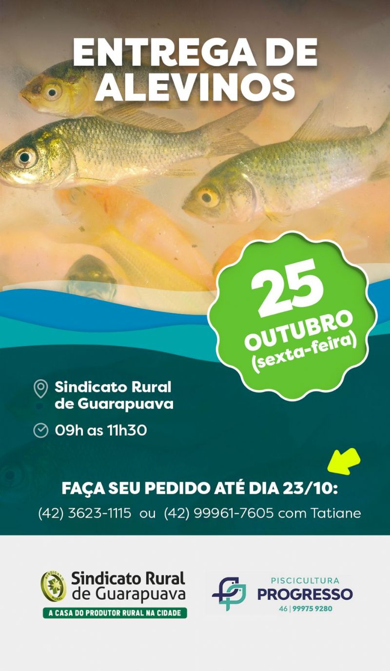 Ainda há tempo de realizar encomendas de alevinos para a próxima sexta-feira, 25