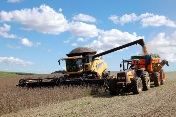 Produ&ccedil;&atilde;o da soja aumenta 18% e tem produtividade recorde